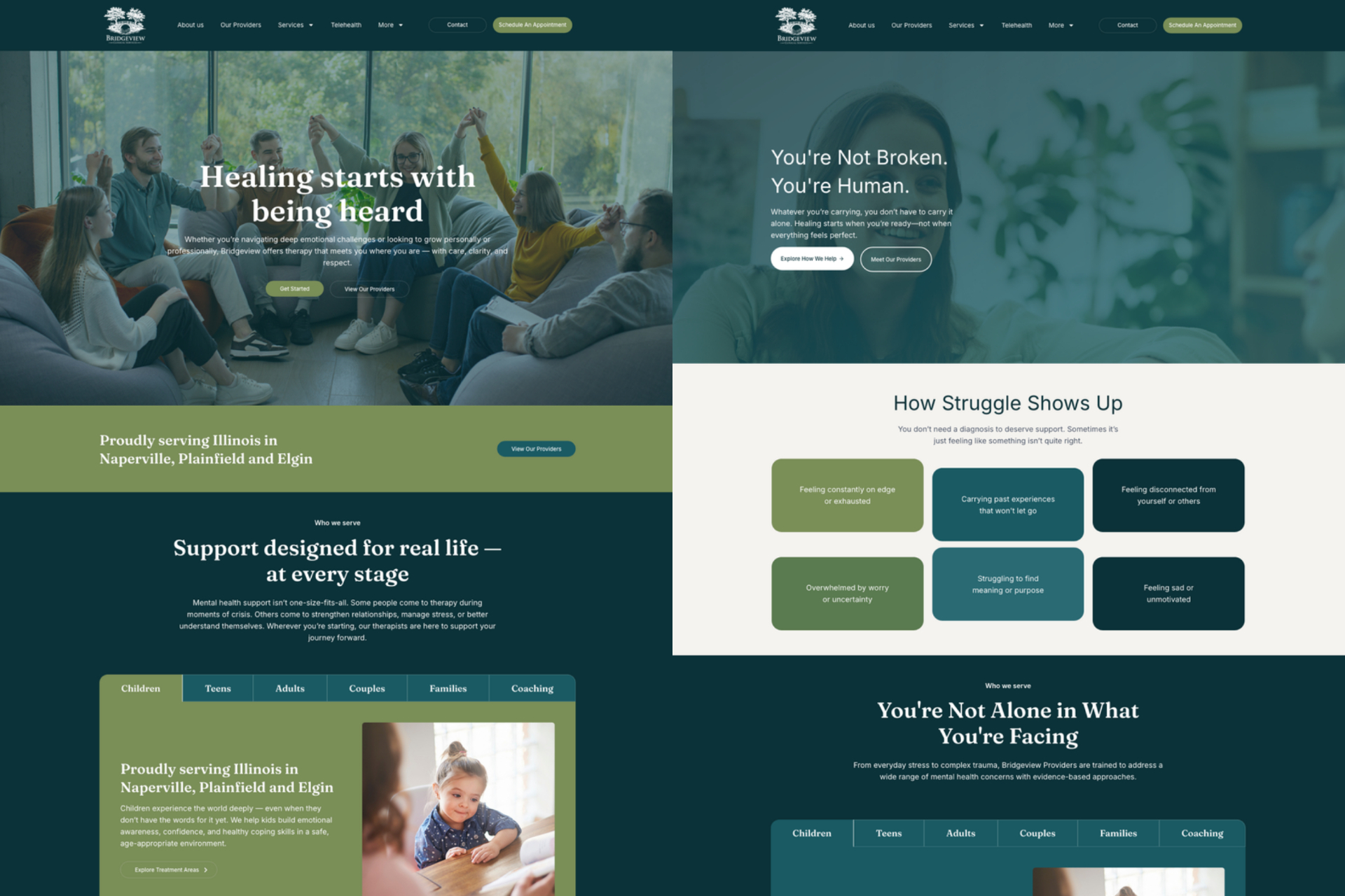 Bridgeview Clinical Services